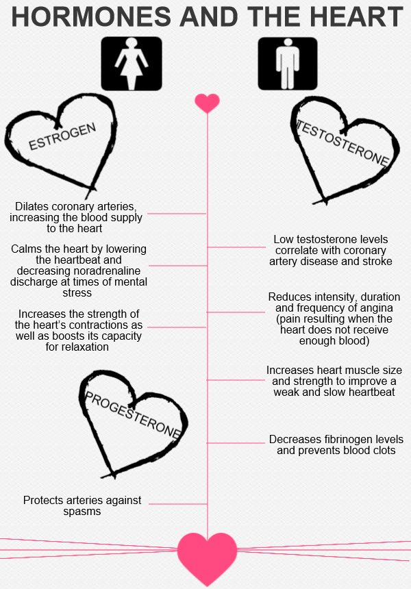 HORMONES AND THE HEART