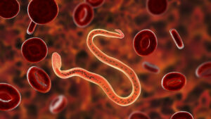 Compounded Mebendazole for Parasite Treatment: What It Is and Why Quality Matters 