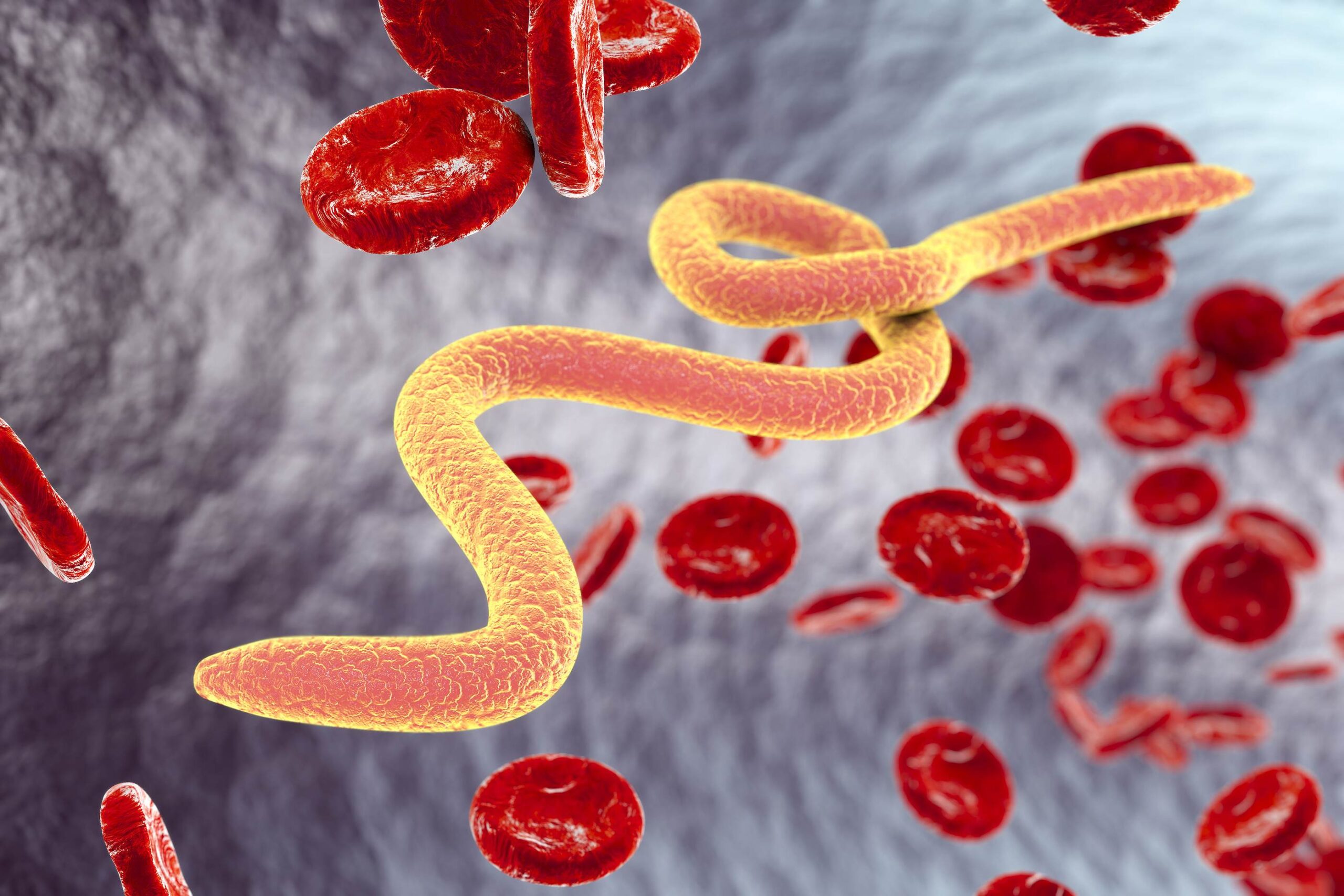 Parasites Explained: Ivermectin, Mebendazole, & More 